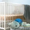 Pabobo Luce notturna Aquadream Effetti acquatici della Anteprima dell’immagine prodotto 6