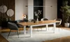 A modern dining room with a wooden dining table and chairs, set on a rug with a large plant in the background. Produktbild-Vorschau