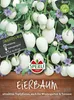 SPERLI Eierbaumsamen Solanum melongena 15 Pflanzen Produktbild-Vorschau 3