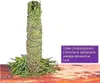 Weißer Salbei zum räuchern 5X Bundles 7-TLG Set mit Produktbild-Vorschau 3