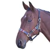 Kožená ohlávka pro koně Blenheim Polo ER812 (celá) Náhled obrázku produktu 2