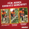 Kettensäge Motorsäge Benzin HECHT 56 | 45 cm Schwertlänge | Produktbild-Vorschau 3