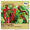 Samenliebe  Paprika Samen | Corno di Toro Rosso - rot & süß Produktbild-Vorschau 1