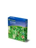 Kiepenkerl Gründünger Hülsenfrucht- ca. 50 qm Produktbild-Vorschau 2