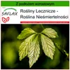 SAFLAX - Roślina Nieśmiertelności - 30 Nasiona - Z podłożem Podgląd zdjęcia produktu 10