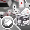 Ultimate Pokerset mit 500 Chips/ 2 Poker Set/ 5 Würfel/ Produktbild-Vorschau 7