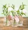 Several glass jars filled with water and white flowers, each decorated with a small tag attached by a clothespin. Náhled obrázku produktu