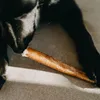 A black dog chews on a long, thin, brown dog treat. Podgląd zdjęcia produktu