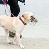 A person walking a dog on a beach. Podgląd zdjęcia produktu