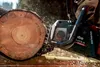 Metabo Akku-Kettensäge MS 36-18 LTX BL 40 18 V, Náhľad obrázku produktu 11