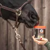 leovet Hamba-Vet Mangime complementare Mangime Anteprima dell’immagine prodotto 3