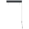 vidaXL Store extérieur 80 x 250 cm Anthracite Voir les images du produit 4
