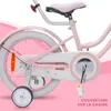 Vélo enfant 16 pouces 4-6 ans Silver Moon pink Sun Baby Voir les images du produit 4