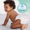 Pampers - Harmonie - Taille 5 - Méga Pack - 124 pièces - Voir les images du produit 8