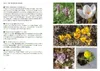 Unser naturnaher Kleingarten Produktbild-Vorschau 7