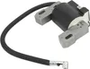 Module de bobine d'allumage du moteur 590454 692605 790817 Voir les images du produit 1
