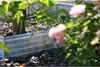 A close-up shot of a raised garden bed with plants and flowers. Produktbild-Vorschau