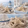 Echter Noppen Seestern 10–15cm Naturdeko maritim Deko Produktbild-Vorschau 6