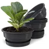 Plastard 5er Set Pflanzenschalen Ø 45 cm mit Untersetzer Produktbild-Vorschau 1