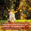 AniForte Premium Colostrum für Hunde & Katzen 100g - 100% Produktbild-Vorschau 6