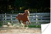 MuchoWow® Poster Pferd - Licht - Sand 30x20 cm - Plakate - Produktbild-Vorschau 1