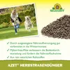 Neudorff Azet HerbstRasenDünger 10 kg hoher Kaliumgehalt Produktbild-Vorschau 4