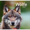 Wandkalender 2027: Wölfe – Beeindruckende Naturfotografie Produktbild-Vorschau 1