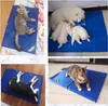 KANDONEX Kühlmatte Hund & Katze – Selbstkühlende Produktbild-Vorschau 5