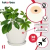 KOTARBAU® Květináč s podšálkem Bílý ⌀ 38 cm Výška: 33 cm Náhled obrázku produktu 4