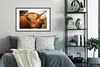 MuchoWow® Gerahmtes Poster Schottische Highlander - Braun - Produktbild-Vorschau 2