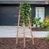 UNUS® Rankturm Pyramide Holz, natur, Wetterfeste Produktbild-Vorschau 2