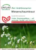 Artikelbild 1 von 'Wiesenschaumkraut' aus der Kategorie Wildblumensamen Produktbild-Vorschau