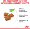 Royal Canin Kitten Sterilised 400gr Produktbild-Vorschau 6