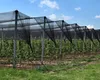 Vogelschutznetz 10m x 10m inkl. 15 Erdanker Laubschutznetz Produktbild-Vorschau 3