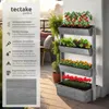 Vertikální postel Flora, lakované dřevo, včetně rostlinného Náhled obrázku produktu 2