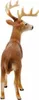 Schleich WL Cervo dalla coda bianca 14818 (14818) Anteprima dell’immagine prodotto 11