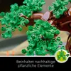 LEGO® Botanicals 10281 : Bonsaï Voir les images du produit 28