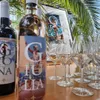 Villa Geissini - 3 x 2 Flaschen Mix Produktbild-Vorschau 3