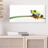 DEQORI Hybrid Leinwand Bild 60x30 cm 'Neugieriger Frosch' Produktbild-Vorschau 4