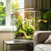 A terrarium with plants is placed on a side table next to a sofa, with a window in the background. Anteprima dell’immagine prodotto