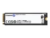Kingston Technology 2000G FURY RENEGADE M.2 2280 NVMe SSD, Produktbild-Vorschau 4
