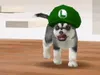 Nintendo Nintendogs Dachshund & Friends - Simulationsspiel Produktbild-Vorschau 8