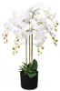 vidaXL Orchidea artificiale con vaso 75 cm Bianco Anteprima dell’immagine prodotto 4