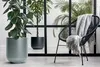 A modern living room scene with two potted plants, a black chair with a gray blanket, and a large window with palm leaves visible outside. Anteprima dell’immagine prodotto