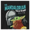 Sudadera para niños, "The Mandalorian & Grogu", modelo Vista previa de la imagen del producto 3