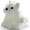 Carl Dick Westie, cucciolo di West Highland Terrier di Anteprima dell’immagine prodotto 10