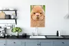MuchoWow® Poster Alpaka - Wolle - Braun 40x60 cm - Plakate Produktbild-Vorschau 3