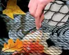 Ekspand | Síť na ochranu před ptáky – černá – 15 x 15 m – Náhled obrázku produktu 10
