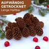 A pile of pine cones on a snowy surface, with some red berries scattered around. Produktbild-Vorschau