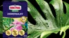 Universaldünger für Zimmerpflanzen 300g Produktbild-Vorschau 10